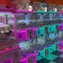 대빵인형뽑기 이미지