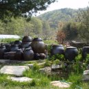 광덕농원 이미지