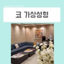코수술 가상성형으로 코성형 안내받고 온 후기