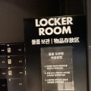 [강릉아르떼뮤지엄]꼭가볼만한전시.팁&amp;후기.영상.근처가볼만한곳.