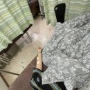 밝은내과21의원 이미지