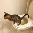 푸른외과의원 이미지