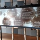 비소(부강)-호-5 | 현대소설 < 무정 > 이광수