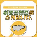 히포 이미지
