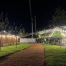 잭큐몬티562 이미지