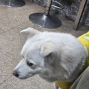 성호카센타 이미지