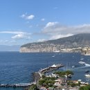 개 태우는 오빠 이미지