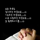 새벽을 열며.2025년 12월 08일.원죄 없이 잉태되신 복되신 동정 마리아 대축일 이미지