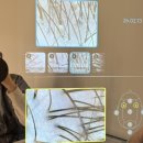샵 도노커피 | 산본 두피관리 샵 탈모 예방 필수 도노포레스타 두피케어