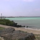 멸치후리는노래 이미지