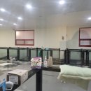 멍냥하숙집 이미지