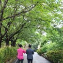 효암고등학교 이미지