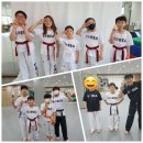 T-Master 연화태권도장 이미지