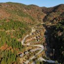 자연으로 이미지