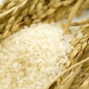 진상미로 이미지