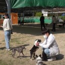 문수양궁장(하절기) 이미지