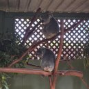 주식회사아이아워 | 시드니 포트스테판 투어 총정리 :: 코스, 날씨, 옷차림 꿀팁, 할인 방법