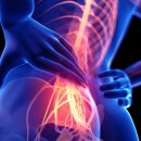 21세기우리의원 이미지