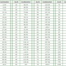 인치(inch)를 센티미터(cm)로 변환한 Chart 이미지