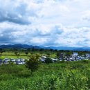 대산문화체육공원(파크골프장) 이미지