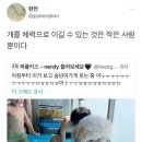 대죽서로 15번길 이미지