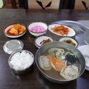 전통손만두국
