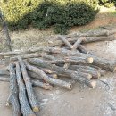 장작 땔감 화목용 참나무 장작 절단목 - 난로용 / 화목용 이미지