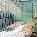 염색공간 이미지