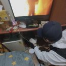 그린라인 이미지