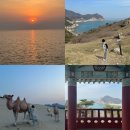 [인천 대청도] 대청도 서풍받이 트레킹 여자 둘 1박2일 여행