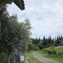 [2025유럽]슈미 와이너리(Shumi Winery) 이미지