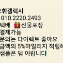 오휘북구지사