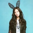바니헤어 이미지