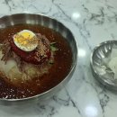 가야밀면 Daum카페