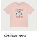 피그먼트