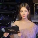 팔레트립 이미지