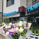 운정블라썸꽃집 이미지