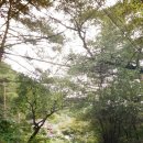 작은통나무집 이미지