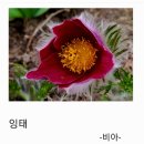 2025 신춘문예 수상작품 및 수상소감 이미지