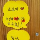 형제토끼농장 이미지