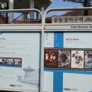 늘푸른 경희대 태권도장 이미지
