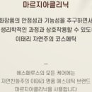 에스떼루스