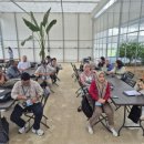 꿈에그린 이미지