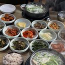 암하참복집