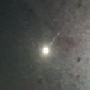 가장맛있는족발 문덕점 이미지