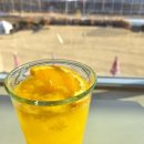 세컨드크랙 | [세종 전동면 카페] 세컨드세컨드 베이글 찐맛집 세종 카페 데이트 추천