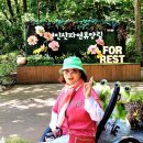 크린랜드 이미지