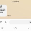 나나펫살롱 이미지