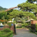 대전 당일치기 여행 추천 :: 충남 금산 하늘물빛정원에서 하루종일 놀다온 후기