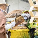 벌꿀호텔 이미지